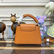 Louis Vuitton Capucines Brown Ostrich leather mini bag - 6