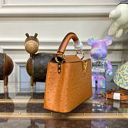 Louis Vuitton Capucines Brown Ostrich leather mini bag - 4