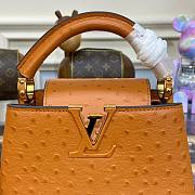 Louis Vuitton Capucines Brown Ostrich leather mini bag - 2