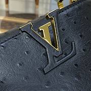 Louis Vuitton Capucines Black Ostrich leather mini bag - 2