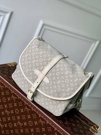 Louis Vuitton Saumur PM Shoulder Bag