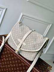 Louis Vuitton Saumur PM Shoulder Bag - 4