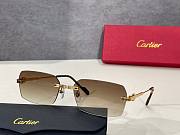 Catier sunglasses  - 2