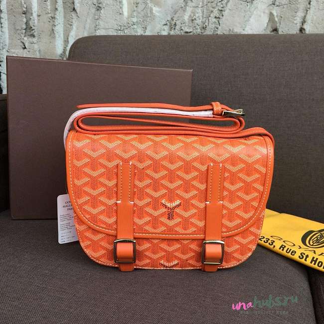 Goyard Belvedere PM Orange Leather Bag - 1