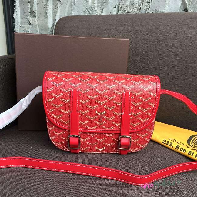 Goyard Belvedere PM Red Leather Bag - 1