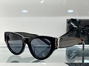 YSL new sunglasses  - 2