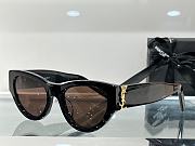 YSL new sunglasses  - 4