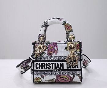 Dior lady D-lite mini white multicolor bag