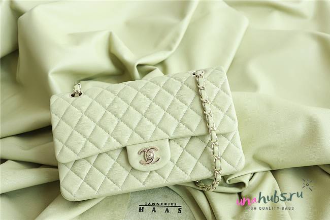 Chanel 22C Small Quilted Classic Flap Mint Green Caviar Gold Hardware Bag - 1