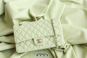 Chanel 22C Small Quilted Classic Flap Mint Green Caviar Gold Hardware Bag