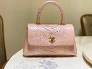 Chanel Coco Pink Python Mini Bag - 1