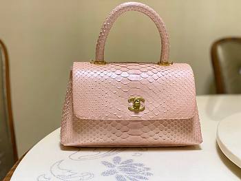 Chanel Coco Pink Python Mini Bag