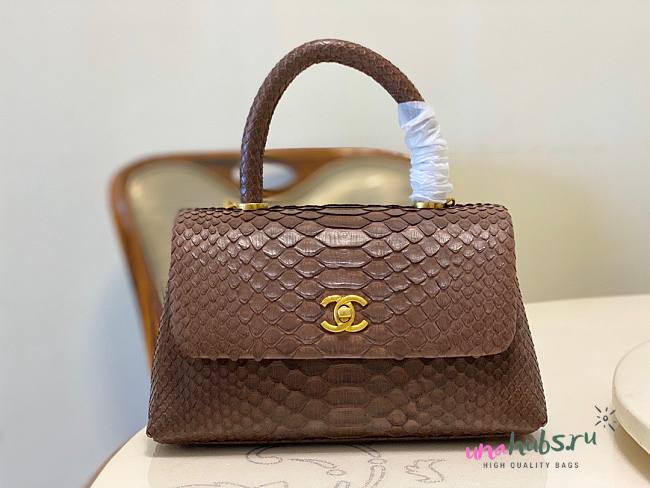 Chanel Coco Brown Python Mini Bag - 1