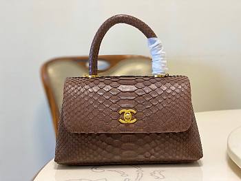 Chanel Coco Brown Python Mini Bag