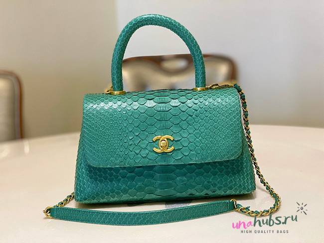 Chanel Coco Green Python Mini Bag - 1