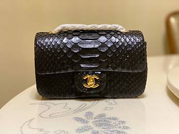 Chanel Classic Black Python Mini Bag