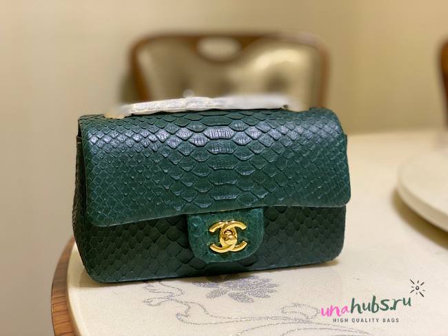 Chanel Classic Green Python Mini Bag - 1