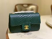 Chanel Classic Green Python Mini Bag - 1