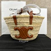 Celine Nano Triomphe Panier In Palm Leaves And Calfskin Bag - 1