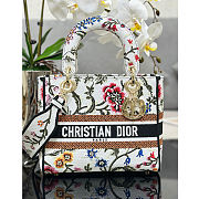 Dior lady D-lite medium black line multicolor bag - 1