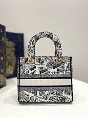 Dior Lady Black and White Plan de Paris Embroidery Bag - 2