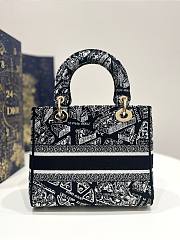 Dior Lady Black Plan de Paris Embroidery Bag - 4