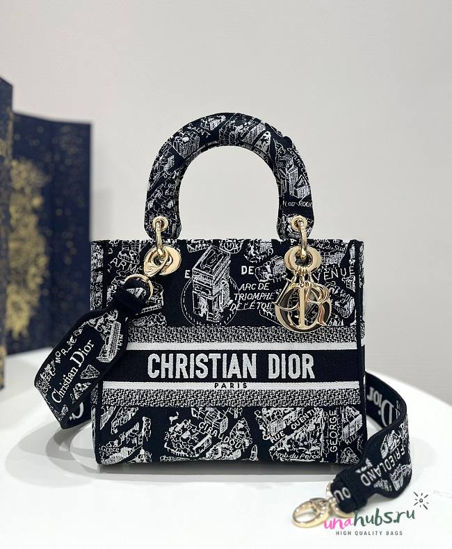 Dior Lady Black Plan de Paris Embroidery Bag - 1