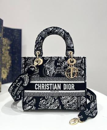 Dior Lady Black Plan de Paris Embroidery Bag