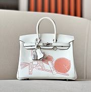 Hermes Biscuit Swift Birkin 25 Palladium Hardware Bag - 1