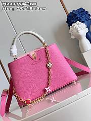 Louis Vuitton Capucines Pink BB M20708 Bag - 5