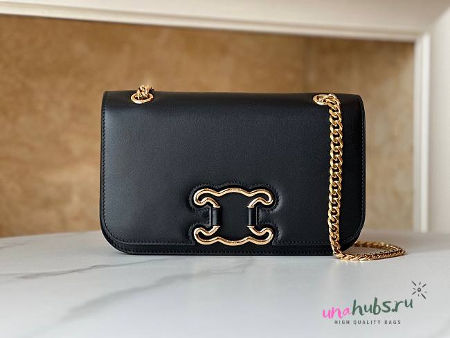 Celine Medium Triomphe Frame Black Calfskin Bag - 1