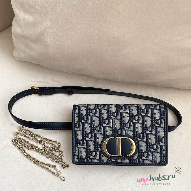 Dior monogram wallet chain belt 2way - 1