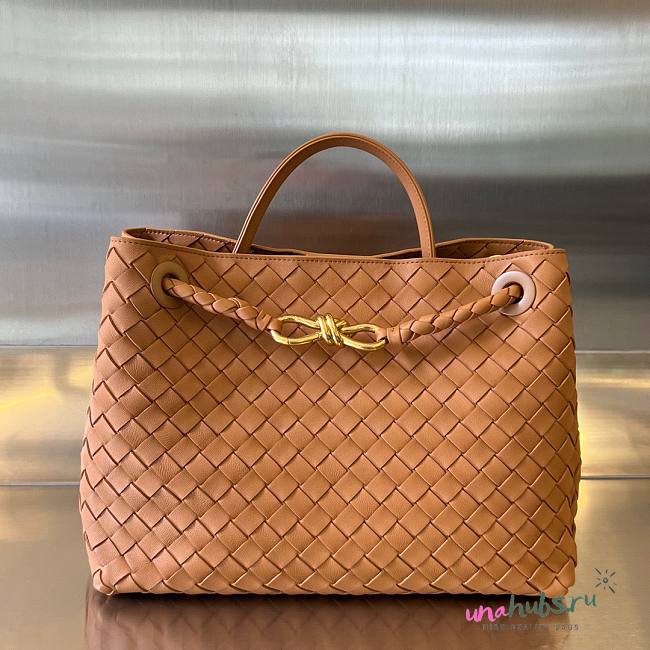 Bottega Veneta Andiamo brown medium bag - 1