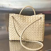 Bottega Veneta Andiamo beige medium bag - 5