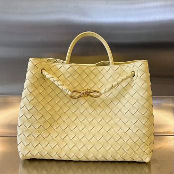 Bottega Veneta Andiamo yellow medium bag