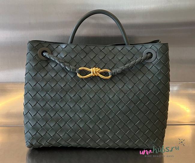 Bottega Veneta Andiamo dark green medium bag - 1