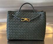 Bottega Veneta Andiamo dark green medium bag - 1