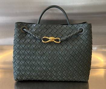 Bottega Veneta Andiamo dark green medium bag