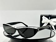 Chanel cat eye sunglasse ( 5 colors) - 3