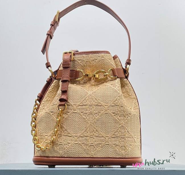 Dior C'est Golden Saddle CD-Embossed Raffia Calfskin Bag - 1