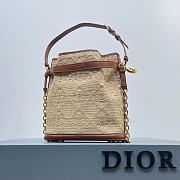 Dior C'est Golden Saddle CD-Embossed Raffia Calfskin Bag - 3