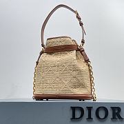 Dior C'est Golden Saddle CD-Embossed Raffia Calfskin Bag - 5