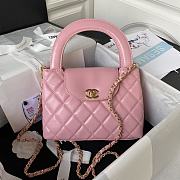 Chanel AS3970 flab bag gold metal pink lambskin bag - 1