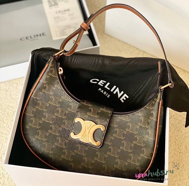 Celine Ava Triomphe canvas and calfskin bag  - 1