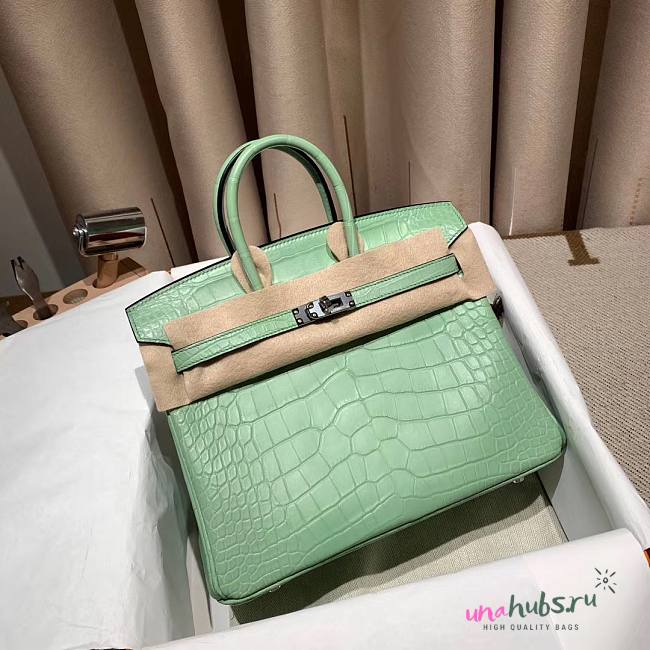 Hermes Birkin 25 in Vert de Eau Matte Alligator Palladium Hardware Bag - 1