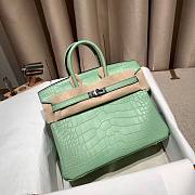 Hermes Birkin 25 in Vert de Eau Matte Alligator Palladium Hardware Bag - 1