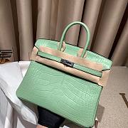 Hermes Birkin 25 in Vert de Eau Matte Alligator Palladium Hardware Bag - 5