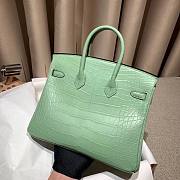 Hermes Birkin 25 in Vert de Eau Matte Alligator Palladium Hardware Bag - 3