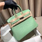 Hermes Birkin 25 in Vert de Eau Matte Alligator Palladium Hardware Bag - 4