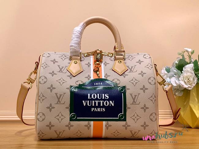 Louis Vuitton Speedy Monopaname Beige 25 Bag - 1